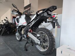 
										Mv Agusta LXP Orioli _ Usato Permutabile full									