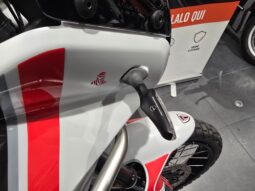 Ducati DesertX Termignoni _ Usato Permutabile full