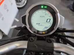 
										Cf Moto 300CL-X Heritage _ Usato Permutabile full									