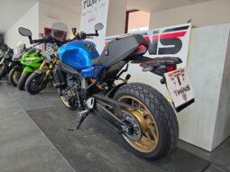 
										Yamaha XSR 900 Limited_Usato Permutabile full									