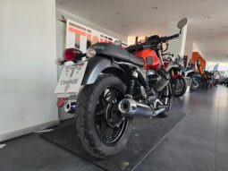 
										Moto Guzzi V7 II Stone _ Usato Permutabile full									