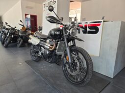Triumph Scrambler 1200 X _ Usato Permutabile