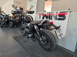 
										Triumph Scrambler 1200 X _ Usato Permutabile full									
