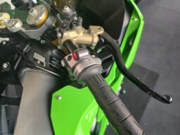 
										Kawasaki Ninja ZX – 10 R Stock_Usato Permutabile full									
