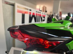 
										Kawasaki Ninja ZX – 10 R Stock_Usato Permutabile full									