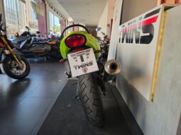 
										Triumph Baby Speed _ Usato Permutabile full									