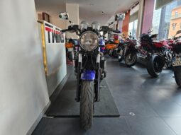 Yamaha XJR 1300 SP _ Usato Permutabile