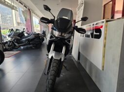 Norton Atlas _ Usato Permutabile