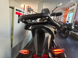 
										Norton Atlas _ Usato Permutabile full									